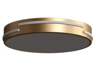  Round LED Flush Mount Gold Ceiling Light 3D model