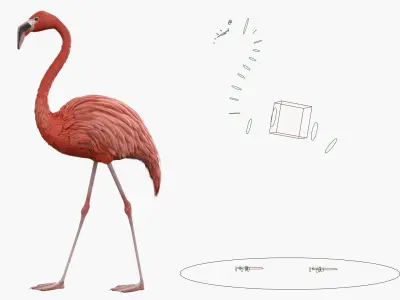  Walking Tropical Bird Flamingo Pink Animated Rigged for Blender 