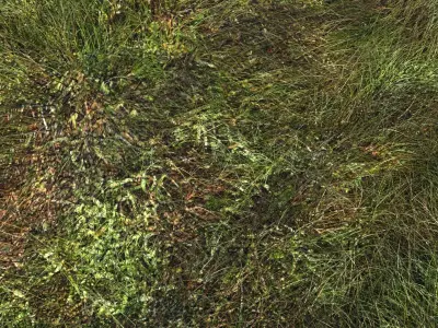 Lightning By The Rainbow 3D model