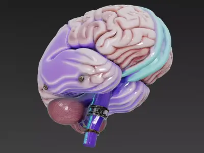 Cyber Organs Bundle 6 Biomechanical Sci-Fi Low-poly 3D model