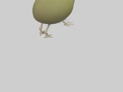 Kiwi walking on forest floor model Low-poly 3D model