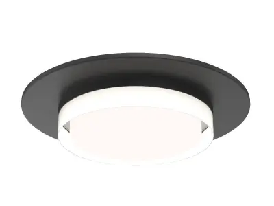 Sen 17 Flush Mount 3D model