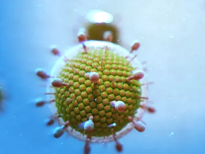 Virus mumbs parotitis 3D model