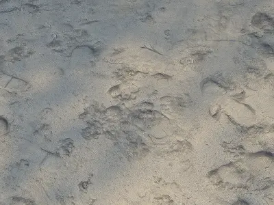 Ultra realistic Beach sand geometry 3 3D model