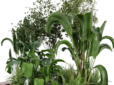 Outdoor Garden set bush and Tree - Garden Set 19 3D model