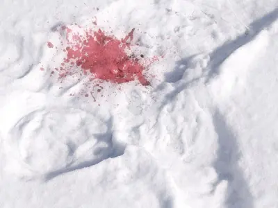 Trace of a human body in the snow 3D model