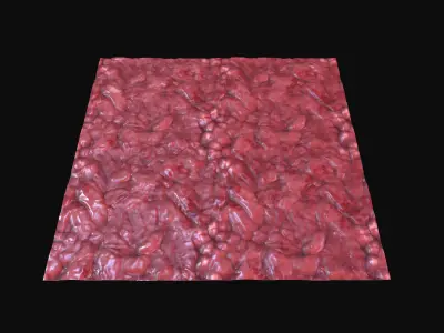 10 Seamless Organic PBR Materials - Set 1 - Texture