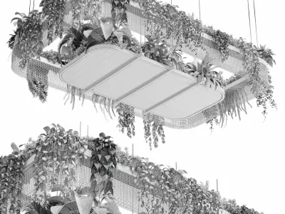 Hanging plants  indoor plant 323 Low-poly 3D model