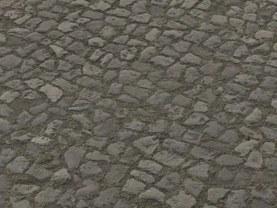 3D Scanned Seamless Cobblestone Pavement Texture