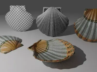 shell soap dish 3D model