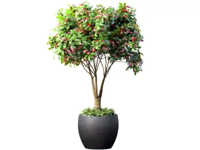 Decorative Indoor tree plant in a classic pot and flowerpot 3D model
