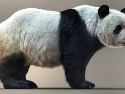  Giant Panda RIG XGEN-CORE 
