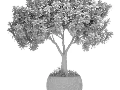 Decorative flowering garden tree in a pot flowerpot urn 3D model
