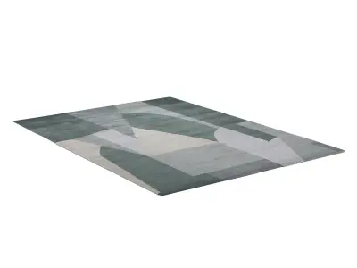  District Spruce RUG 3D model