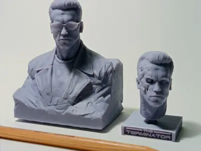 Bust The Terminator  3D print model