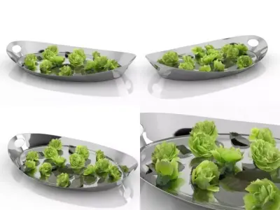 Carnations 02 3D model