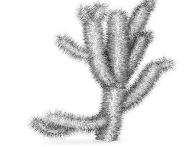 Cholla Cactus 3D model