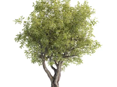 tree 01 3D model