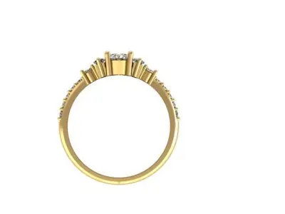 delicate ring  3D print model