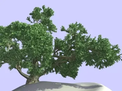 BIG TREE 3D model