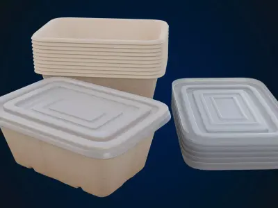 Box Food Cardboard Container - Disposable 3D model
