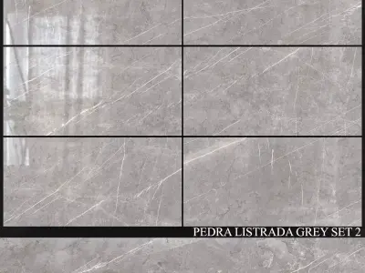 Decovita Pedra Listrada Grey 600x1200 Set 2 3D model