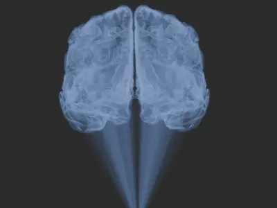 Brain Hologram Animated 3D model