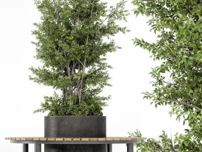 Bench set 06 3D model