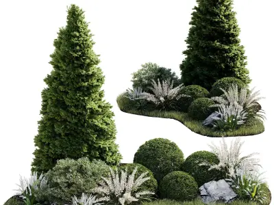 Outdoor Plant 33 3D model