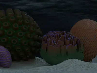 Coral Types 3D model