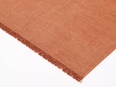 Punk Rectangular Rugs 3D model