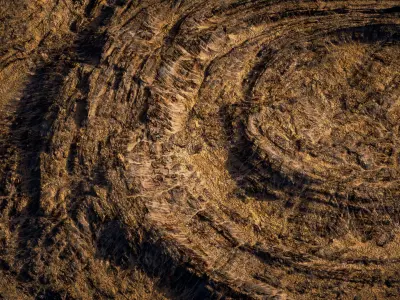 TERRAFORM Lowlands Collection 3D Model Pack