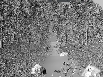 Forest Scene Low-poly 3D model buy