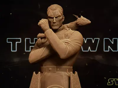 STAR WARS Admiral Thrawn Bust Tested for 3D printing 3D print model
