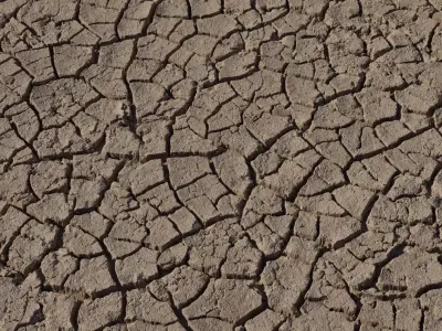 Dried Cracked Mud Ground PBR Texture  Texture