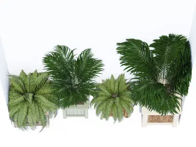 Traditonal one 3D model