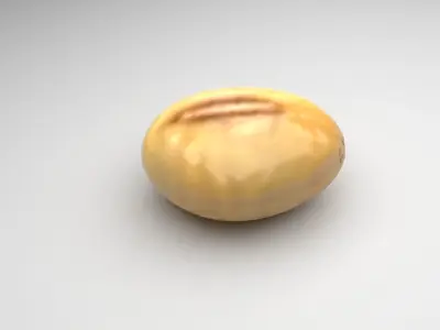 Soybean 3D model