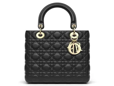  Lady Dior Bag 