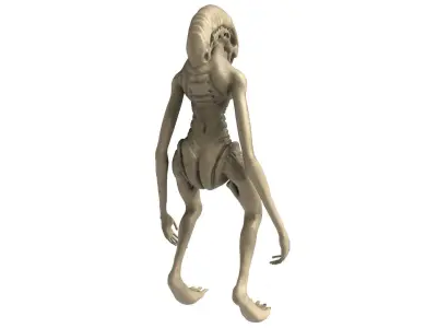 Alien Newborn 3D model
