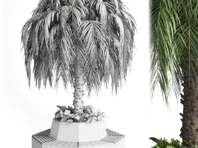 plant and plam interior exterior bench 02 Low-poly 3D model