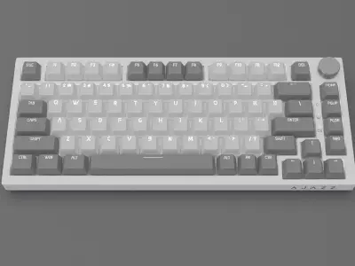 AJAZZ machanical keyboard 75 white-gray with all components 3D model