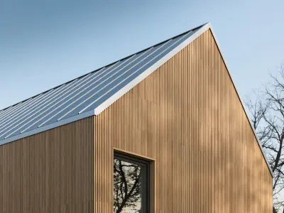 Siberian larch lamellas cladding texture Texture