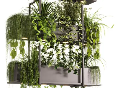 Indoor Plants - 23  Hanging plants 3D model