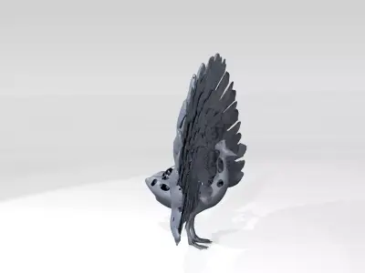 Peafowl Voronoi 3D model