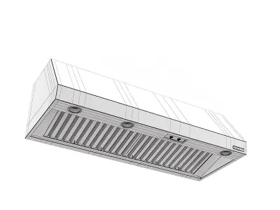 Wolf Wall Mount Canopy Range Hood PW602418 3D model