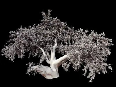 red maple tree 3D model