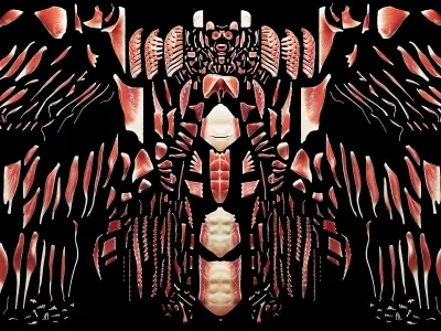  Complete Male and Female Anatomy Collection 