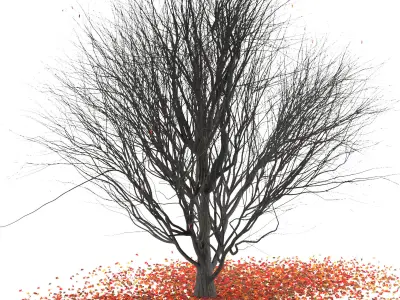 Platanus -winter 3D model