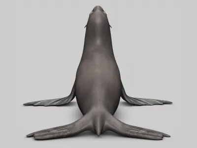  Sea Lion 