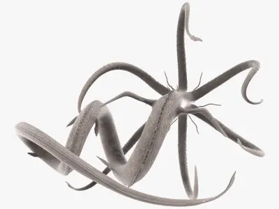  Fantastic Deep Sea Monster with Curved Body White 